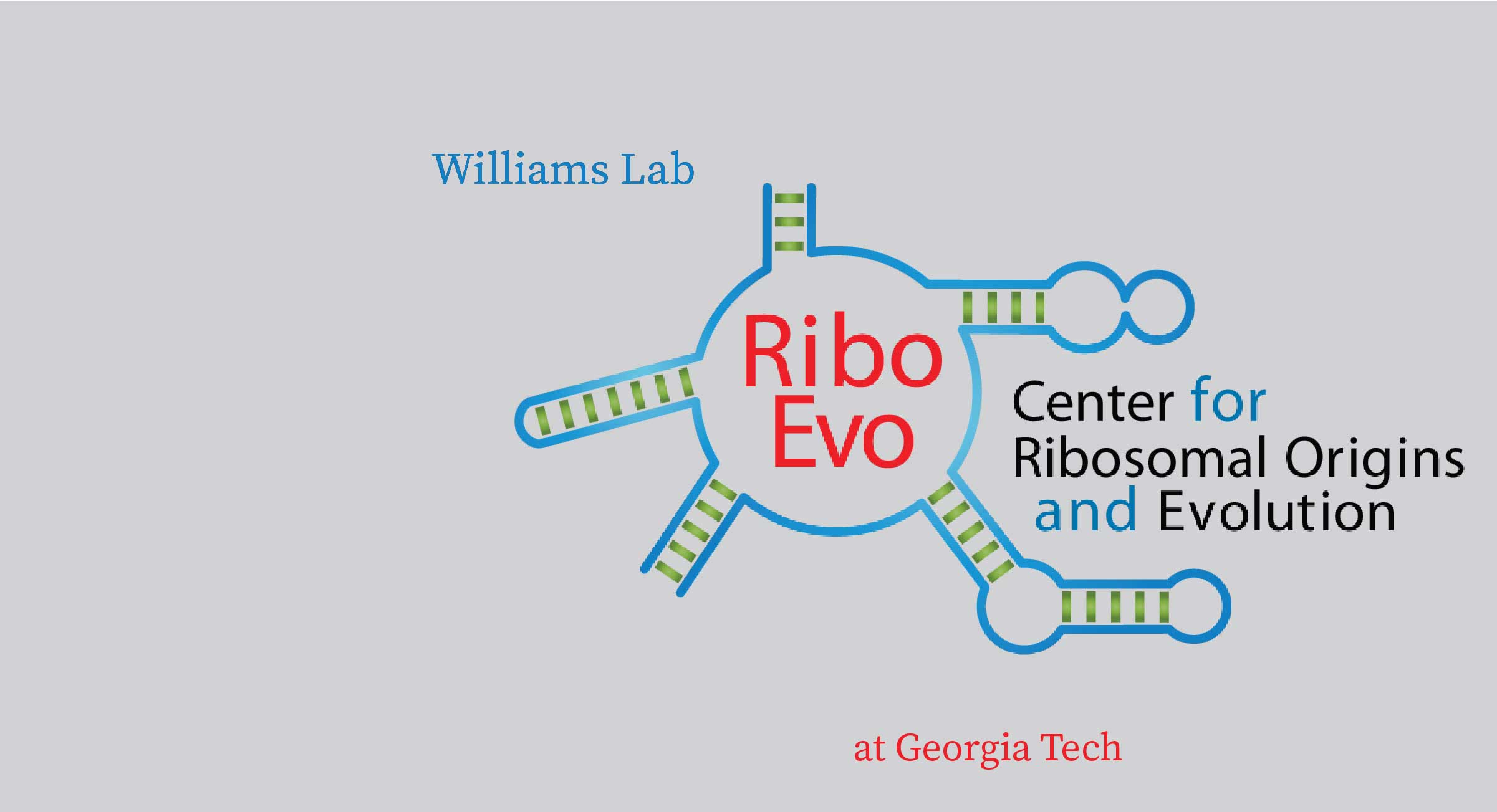 Williams Lab Slide 13